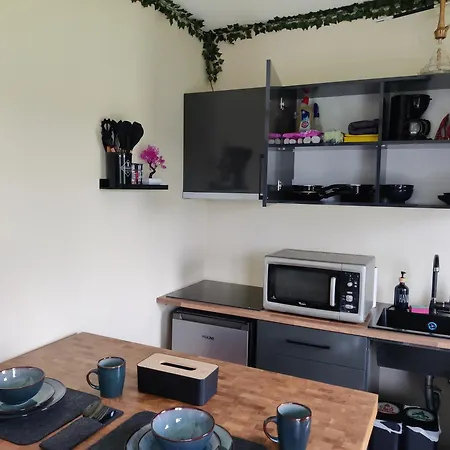 Tiny House Betuwe Apartment Tricht Room photo